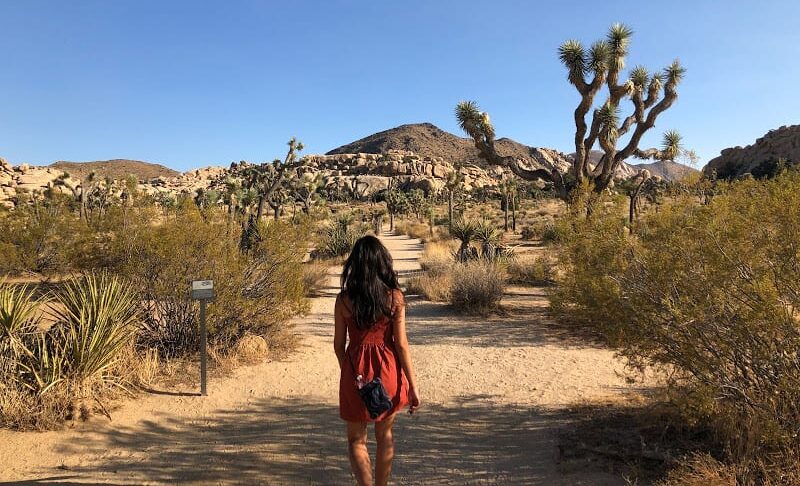 數位遊牧的真相-第一年學到的事